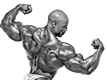 "Back Attack: Performance Tees"